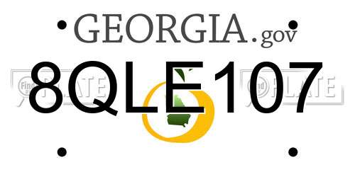 8QLE107 Georgia License Plate