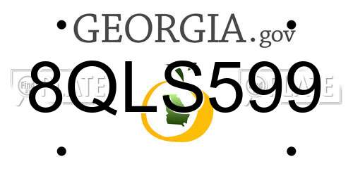 8QLS599 Georgia License Plate