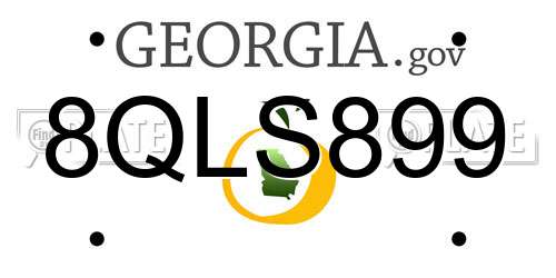 8QLS899 Georgia License Plate