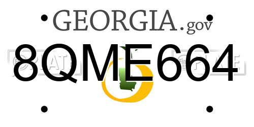 8QME664 Georgia License Plate