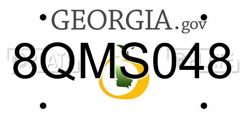 8QMS048 Georgia License Plate