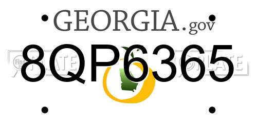 8QP6365 Georgia License Plate