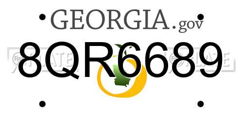 8QR6689 Georgia License Plate