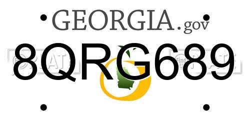 8QRG689 Georgia License Plate