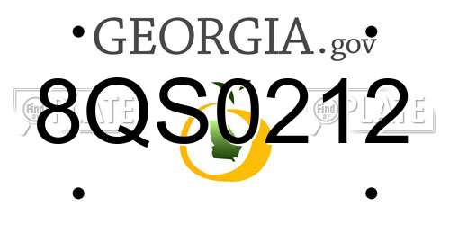 8QS0212 Georgia License Plate