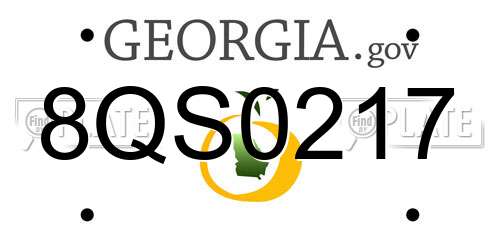 8QS0217 Georgia License Plate