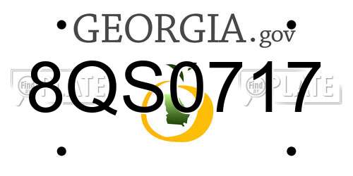 8QS0717 Georgia License Plate