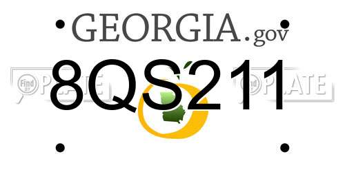 8QS211 Georgia License Plate