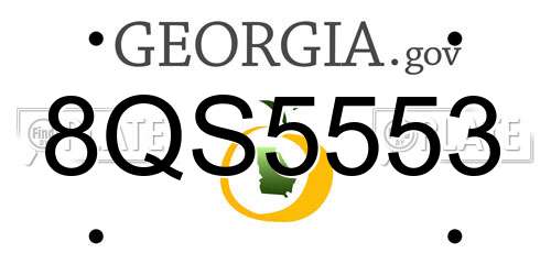 8QS5553 Georgia License Plate