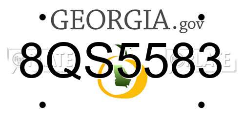 8QS5583 Georgia License Plate