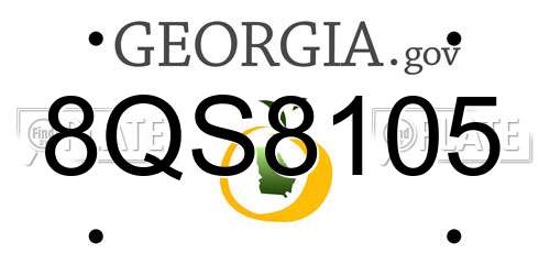 8QS8105 Georgia License Plate