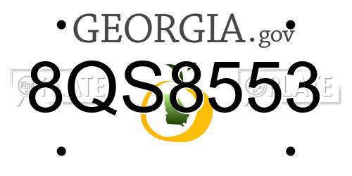 8QS8553 Georgia License Plate