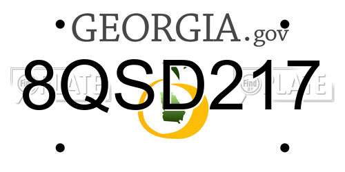 8QSD217 Georgia License Plate