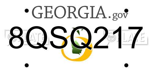 8QSQ217 Georgia License Plate