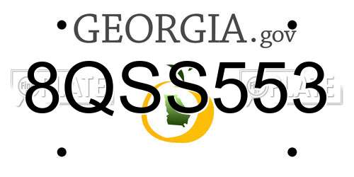 8QSS553 Georgia License Plate