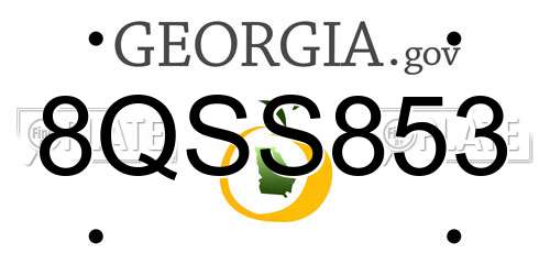 8QSS853 Georgia License Plate