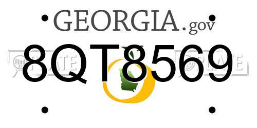 8QT8569 Georgia License Plate