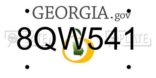 8QW541 Georgia License Plate