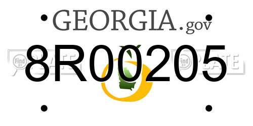 8R00205 Georgia License Plate
