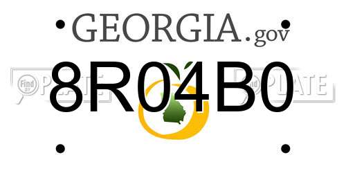 8R04B0 Georgia License Plate