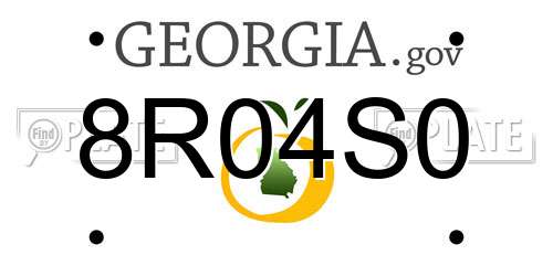 8R04S0 Georgia License Plate