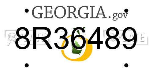 8R36489 Georgia License Plate