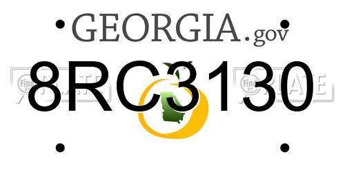 8RC3130 Georgia License Plate