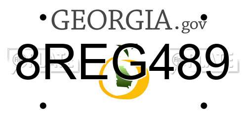 8REG489 Georgia License Plate