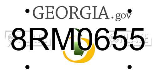 8RM0655 Georgia License Plate