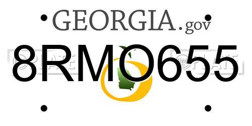 8RMO655 Georgia License Plate