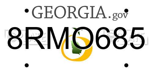8RMO685 Georgia License Plate