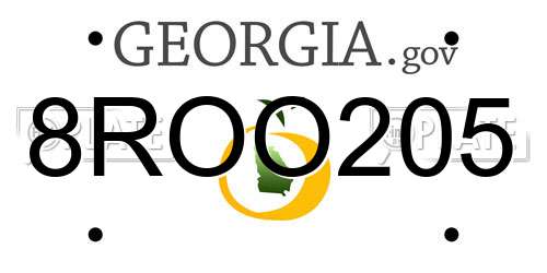 8ROO205 Georgia License Plate