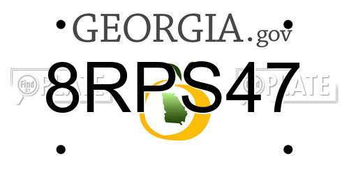 8RPS47 Georgia License Plate