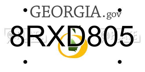 8RXD805 Georgia License Plate
