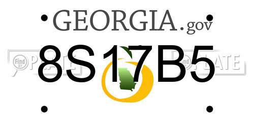 8S17B5 Georgia License Plate