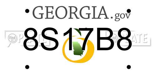 8S17B8 Georgia License Plate