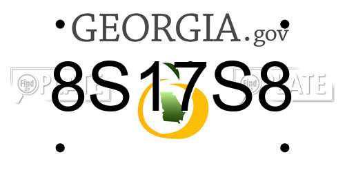 8S17S8 Georgia License Plate