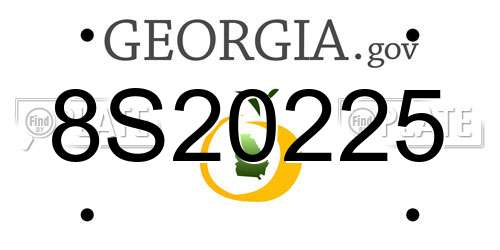 8S20225 Georgia License Plate