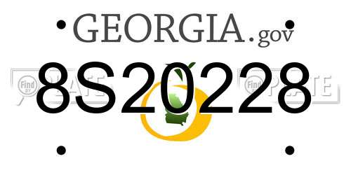 8S20228 Georgia License Plate
