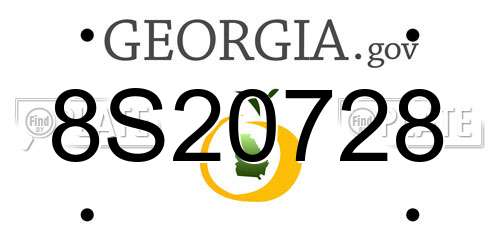 8S20728 Georgia License Plate