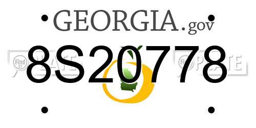 8S20778 Georgia License Plate