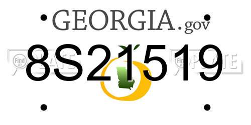 8S21519 Georgia License Plate