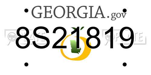 8S21819 Georgia License Plate