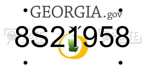 8S21958 Georgia License Plate