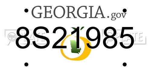 8S21985 Georgia License Plate