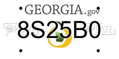 8S25B0 Georgia License Plate