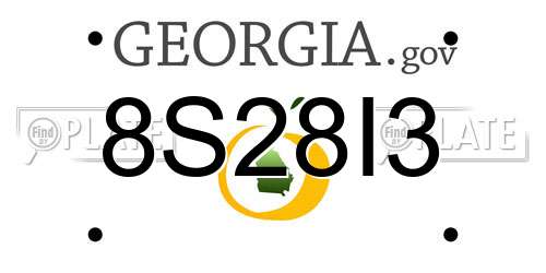 8S28I3 Georgia License Plate