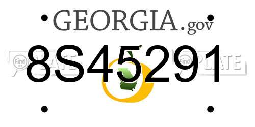 8S45291 Georgia License Plate