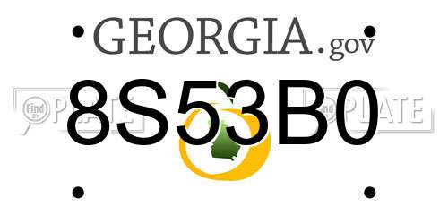 8S53B0 Georgia License Plate