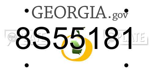 8S55181 Georgia License Plate